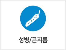 피부질환